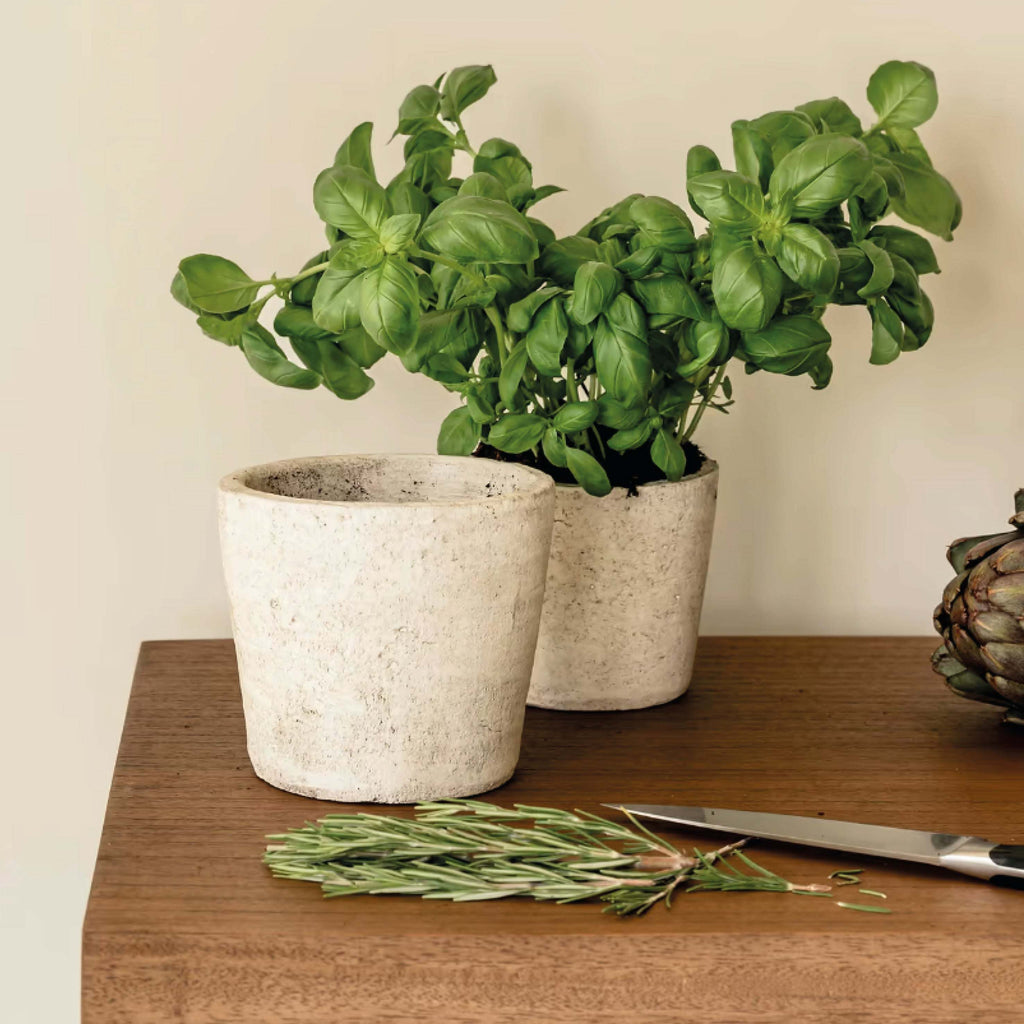 Stone Radstock Pot with houseplants on wooden table.